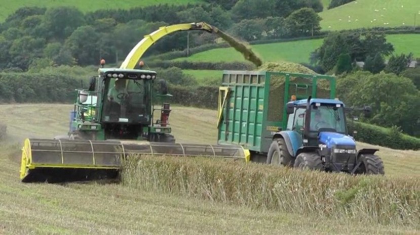 Harvest Roundup - Farm Consultancy